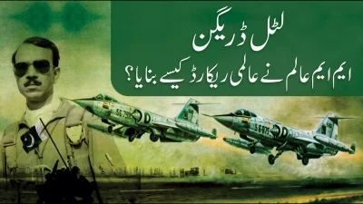 ایم ایم عالم ؛ لِٹل ڈریگن نے کیسے بھارتی جنگی جہازوں کو گرایا؟